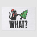 Buscar disfraz papel de seda Gato