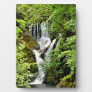 Buscar cascadas placas fotograbadas Árboles