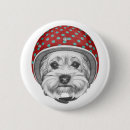 Buscar aviador chapas Lindo