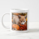 Buscar pozo tazas Corgi