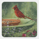 Buscar cardinal pegatinas Cardenales