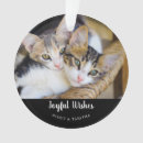 Buscar gatos y gatitos adornos General y unisex