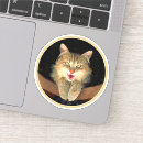 Buscar gato loco pegatinas Gatito