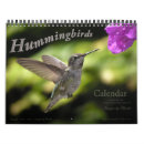 Buscar hummingbird calendarios Colibrí