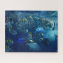 Buscar buceo puzzles Mar