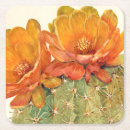 Buscar cactus posavasos Verde