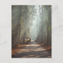 Buscar bosques postales Árbol