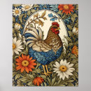 Buscar el gallo posters Campo
