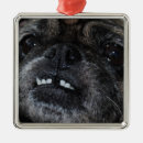 Buscar barro amasado adornos Perros