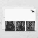 Buscar imágenes animales tarjetas Para ellos