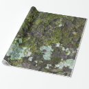 Buscar camo fotografía Para todos