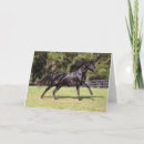 Buscar manía tarjetas Animal