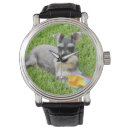 Buscar schnauzer relojes Schnauzer en miniatura