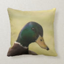 Buscar pato cojines Para todos