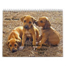Buscar rhodesian del ridgeback Perros