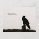 Buscar cuervo blanco postales Blanco y negro