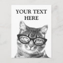 Buscar gatos divertidos postales Lindo