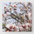 Buscar bonito relojes de pared Femenina