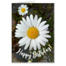 Buscar happy birthday daisy flower postales Maricas