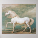 Buscar pferde posters Caballo