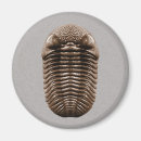 Buscar paleontología imanes Ciencia