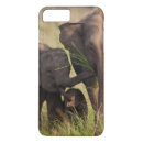 Buscar elefante indio iphone fundas Animal