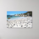 Buscar playa lienzos Viaje