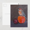 Buscar pinzón postales Pájaros