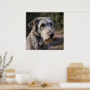 Buscar del lobo posters Perro