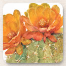 Buscar cactus posavasos Acuarela