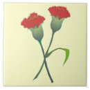 Buscar claveles azulejos Rojo