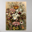 Buscar papel antiguo posters Flores