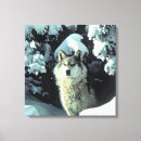Buscar lobo arte De vida silvestre