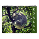 Buscar koala calendarios Vida silvestre