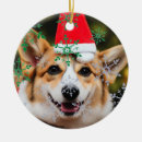 Buscar corgi adornos Divertido