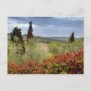 Buscar toscana postales Viñedo