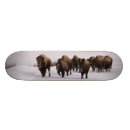 Buscar horizontal tablas de skate Nieve