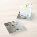 Buscar gato bonito posavasos Animal