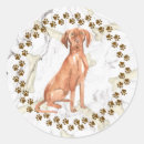 Buscar vizsla pegatinas Magyar