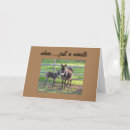 Buscar mulas tarjetas Burro