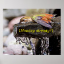 Buscar colibríes posters Aves