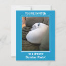 Buscar perros blancos tarjetas Para niños