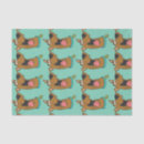 Buscar dibujos animados papel de seda Caricaturista