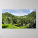 Buscar valle posters Hierba