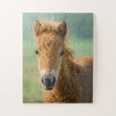 Buscar cabeza de caballo puzzles Adorable