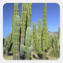 Buscar méxico pegatinas Desierto
