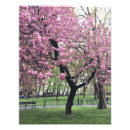 Buscar museos posters Museo de historia natural