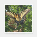 Buscar mariposas coloridas servilletas General y unisex