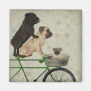 Buscar pugs imanes Steampunk
