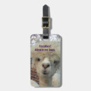 Buscar alpaca etiquetas para maletas Equipaje